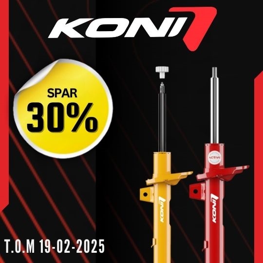 Koni - spar 30%